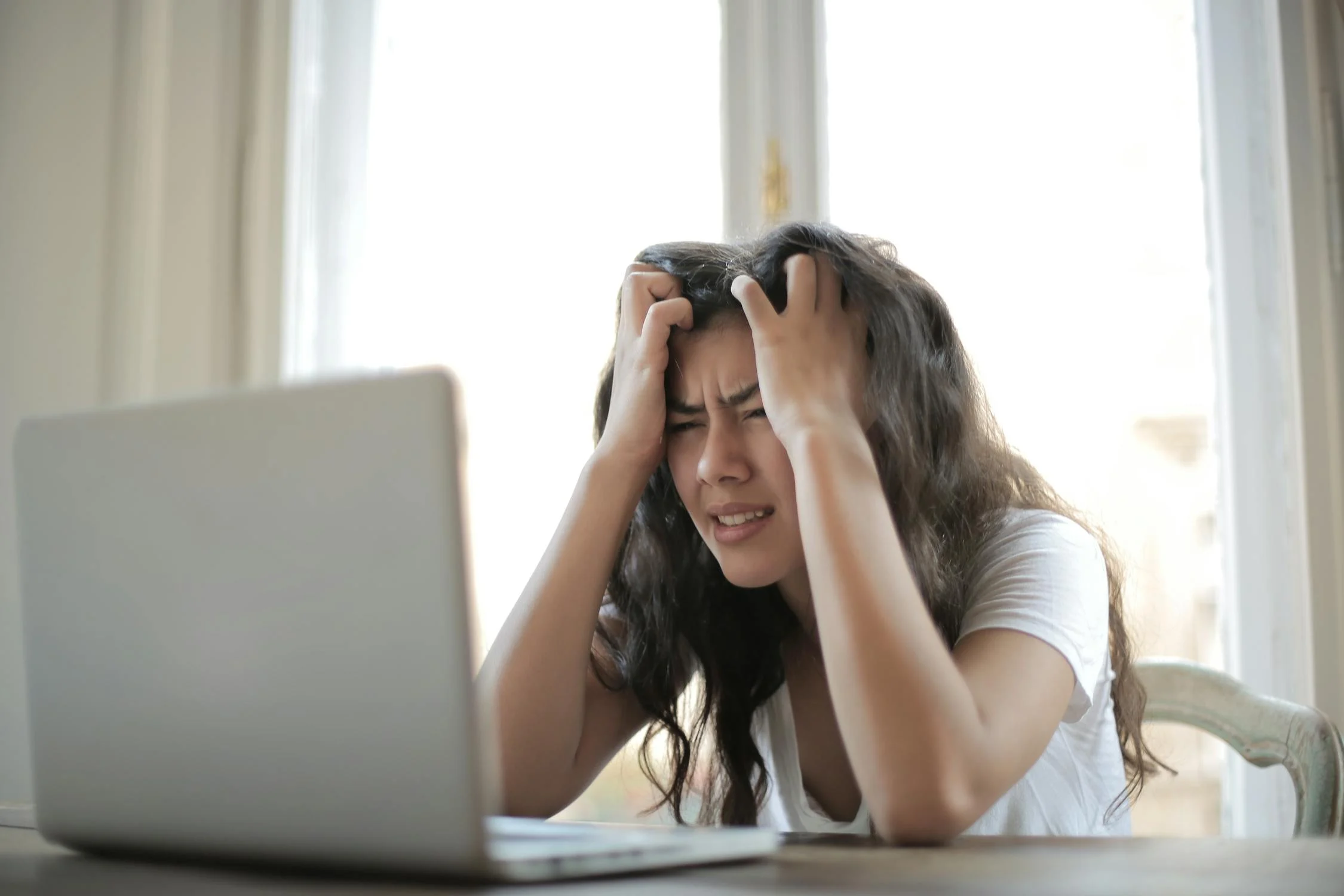 Maintenance de site WordPress en Seine-et-Marne (77)